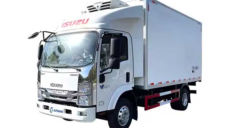 The Promising Future of Refrigerated Trucks in the African Market
