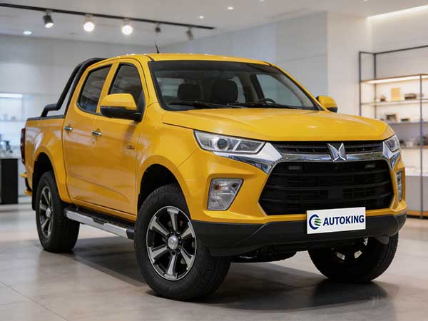 ISUZU 3 Ton Pickup Truck